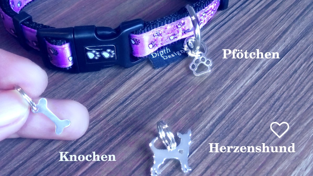 DipthDesign Hundehalsband Shop - Charms Hund