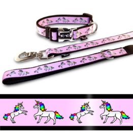 Hundehalsband Leine Set Einhorn